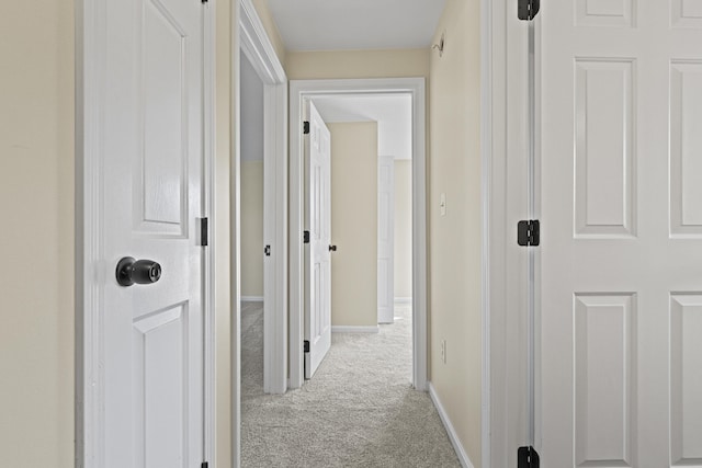 hall featuring light carpet