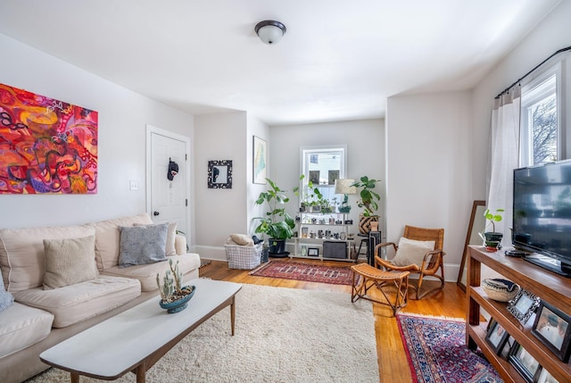 living room featuring hardwood / wood-style flooring