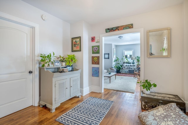 hall featuring hardwood / wood-style floors