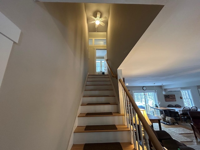 stairs with a wealth of natural light