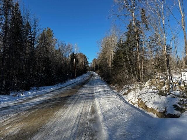 Listing photo 2 for M10L5 Hancock Pond Rd, Embden ME 04958