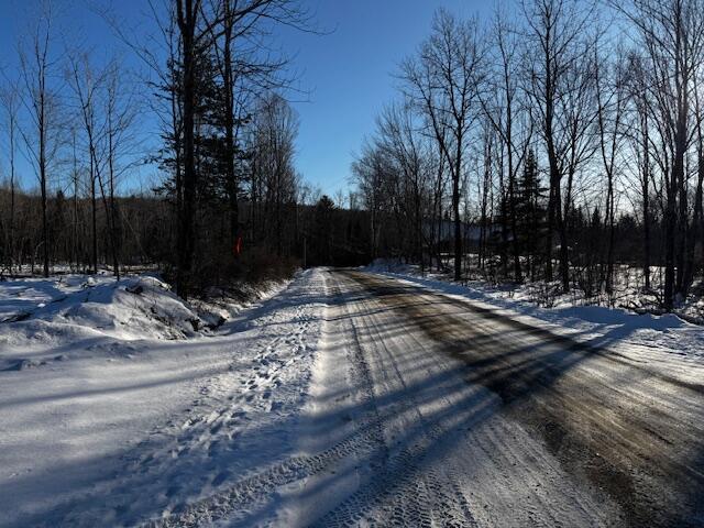 Listing photo 3 for M10L5 Hancock Pond Rd, Embden ME 04958