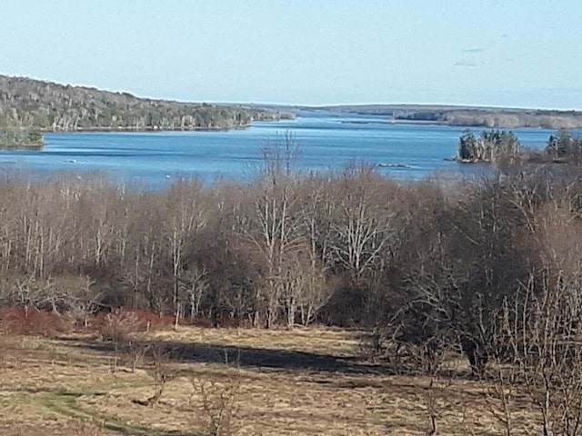 431 Houlton Rd, Island Falls ME, 04747 land for sale