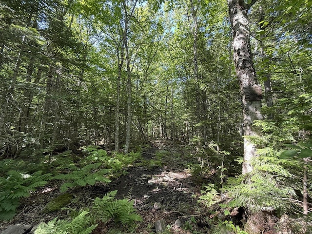 431 Houlton Rd, Island Falls, ME 04747