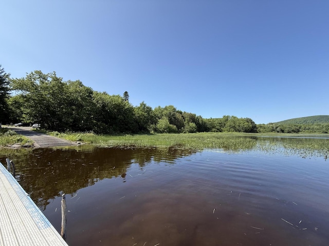 431 Houlton Rd, Island Falls, ME 04747