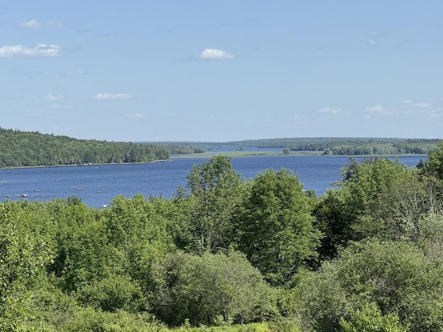 431 Houlton Rd, Island Falls, ME 04747
