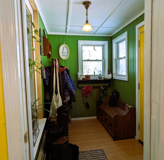 doorway to outside featuring wood-type flooring