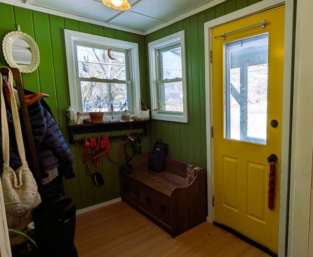 doorway featuring a healthy amount of sunlight and light hardwood / wood-style floors