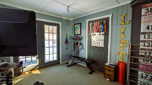 exercise room featuring carpet and a wealth of natural light