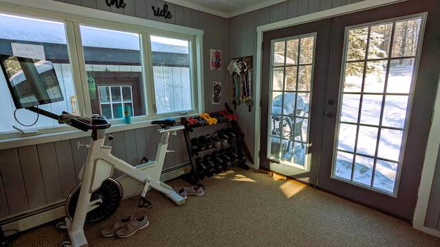 exercise area featuring french doors, a healthy amount of sunlight, carpet, and wood walls