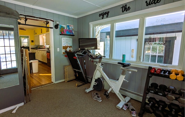 exercise area with plenty of natural light, carpet floors, and sink