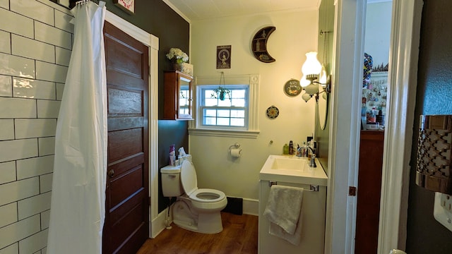 bathroom featuring hardwood / wood-style flooring, vanity, and toilet