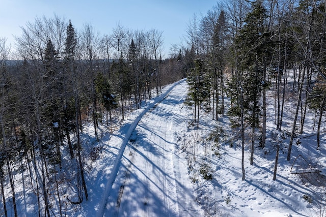 view of snowy landscape