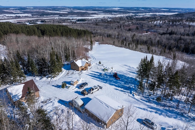 view of snowy aerial view