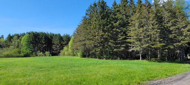 685 Main St, Grand Isle, ME 04746 - view of grassy yard featuring a forest view