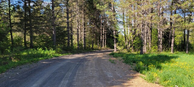685 Main St, Grand Isle, ME 04746 - view of dirt / gravel road featuring a wooded view