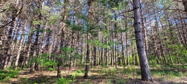 685 Main St, Grand Isle, ME 04746 - view of wooded area