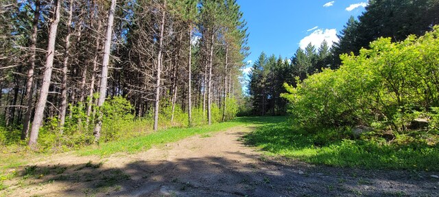 685 Main St, Grand Isle, ME 04746 - view of street with a view of trees