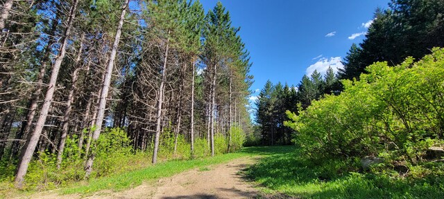 685 Main St, Grand Isle, ME 04746 - view of tree filled area