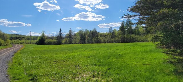 685 Main St, Grand Isle, ME 04746 - view of yard featuring a view of countryside and a wooded view
