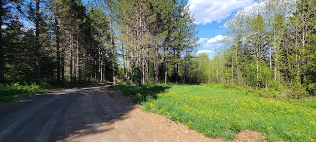 685 Main St, Grand Isle, ME 04746 - view of road featuring a forest view