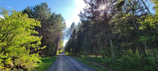 685 Main St, Grand Isle, ME 04746 - view of dirt / gravel road featuring a forest view