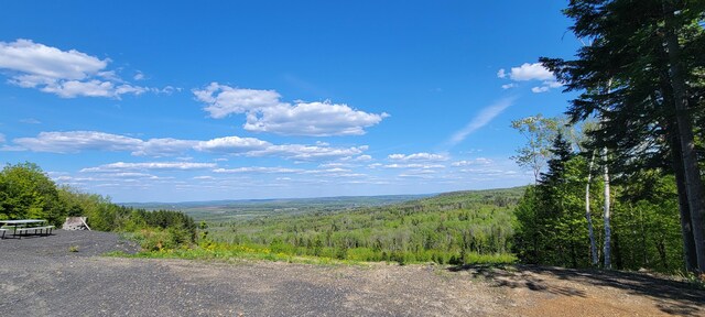 685 Main St, Grand Isle, ME 04746 - view of mountain backdrop with a heavily wooded area