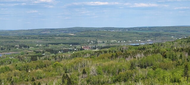 685 Main St, Grand Isle, ME 04746 - view of mountain background featuring a forest and a nearby body of water