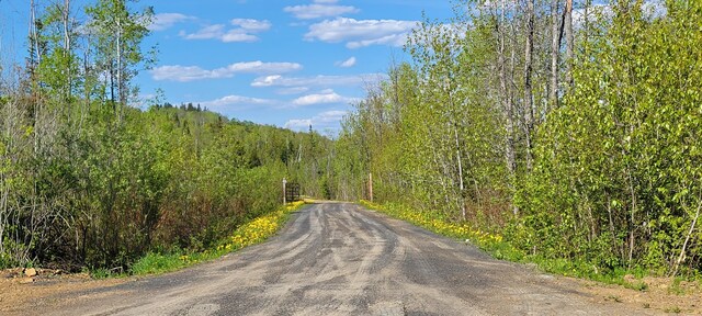 685 Main St, Grand Isle, ME 04746 - view of street with a forest view