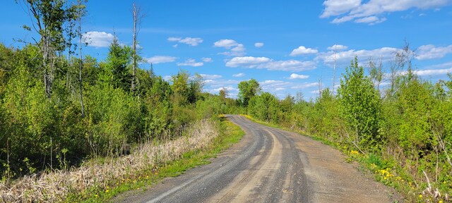 685 Main St, Grand Isle, ME 04746 - view of dirt / gravel road with a wooded view