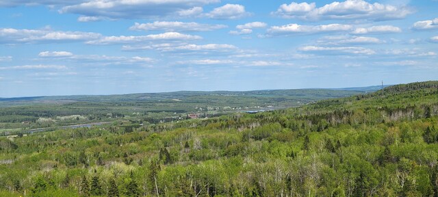 685 Main St, Grand Isle, ME 04746 - mountain view featuring a heavily wooded area