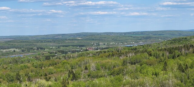 685 Main St, Grand Isle, ME 04746 - view of mountain backdrop with a heavily wooded area
