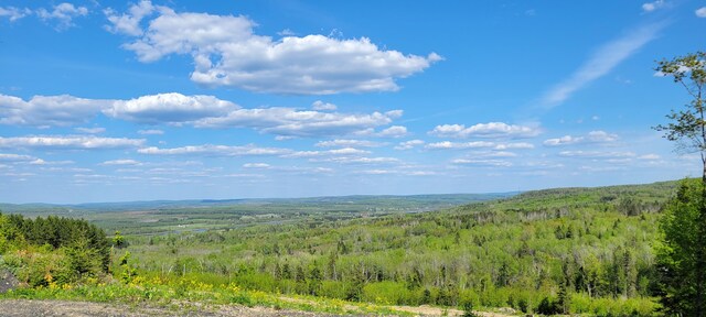 685 Main St, Grand Isle, ME 04746 - view of mountain background featuring a heavily wooded area