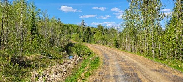 685 Main St, Grand Isle, ME 04746 - view of dirt / gravel road with a wooded view