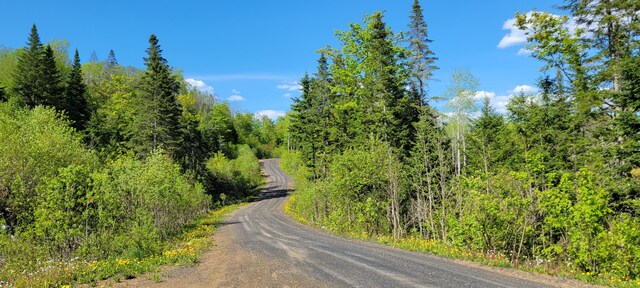 685 Main St, Grand Isle, ME 04746 - view of road with a view of trees