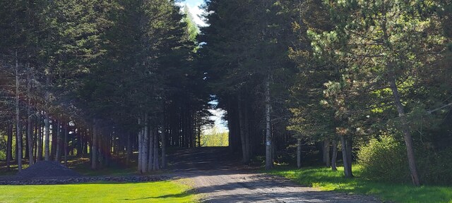 685 Main St, Grand Isle, ME 04746 - view of community with a view of trees and driveway