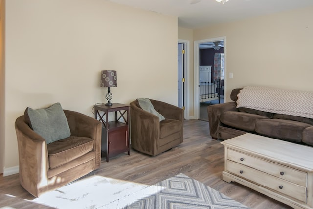 living room featuring light hardwood / wood-style floors