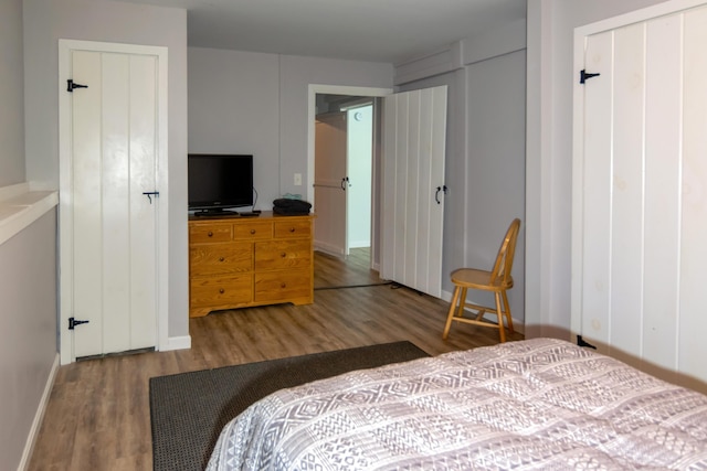 bedroom featuring hardwood / wood-style floors and two closets