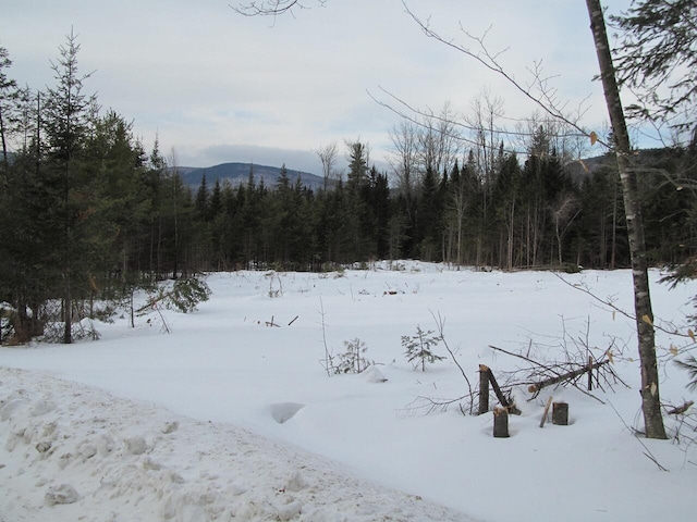 08 Center Hill Rd, Weld ME, 04285 land for sale