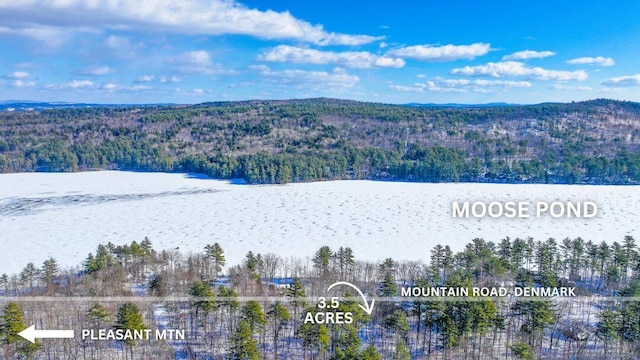 MAP19LOT5B Mountain Rd, Denmark ME, 04022 land for sale