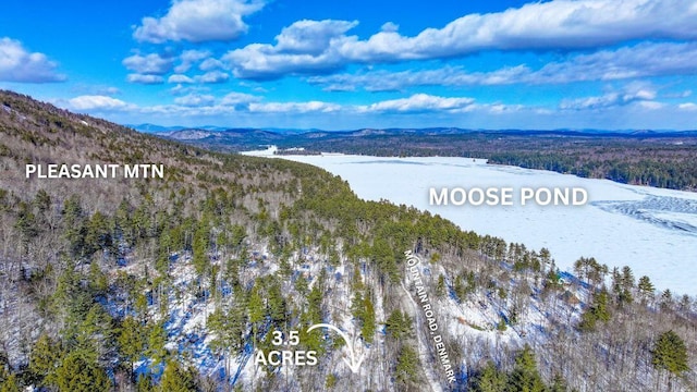 Listing photo 3 for MAP19LOT5B Mountain Rd, Denmark ME 04022