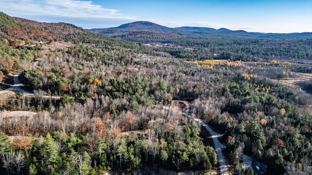 bird's eye view with a mountain view