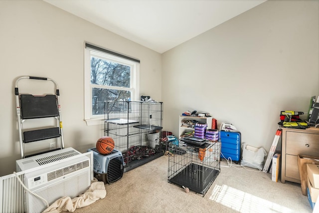 storage featuring a wall unit AC