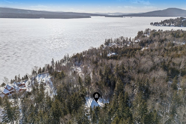 birds eye view of property with a water and mountain view