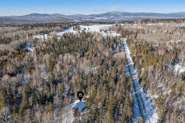 snowy aerial view featuring a mountain view