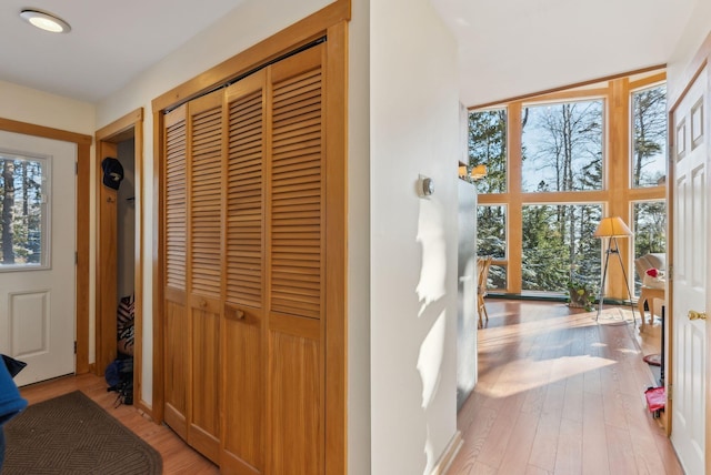 interior space featuring light hardwood / wood-style flooring