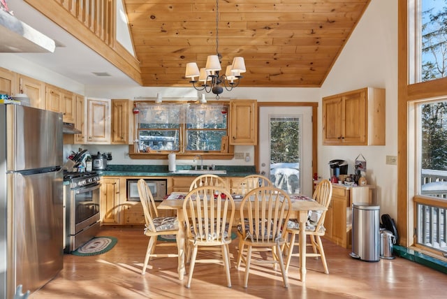 kitchen featuring stainless steel appliances, a healthy amount of sunlight, sink, and decorative light fixtures