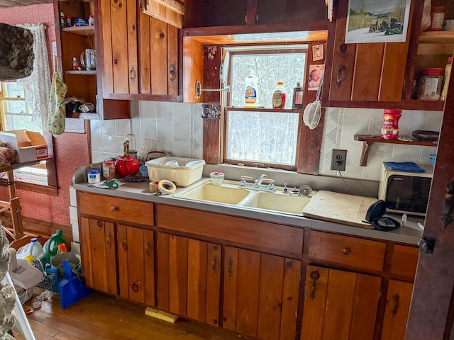 kitchen with tasteful backsplash, wood-type flooring, and sink