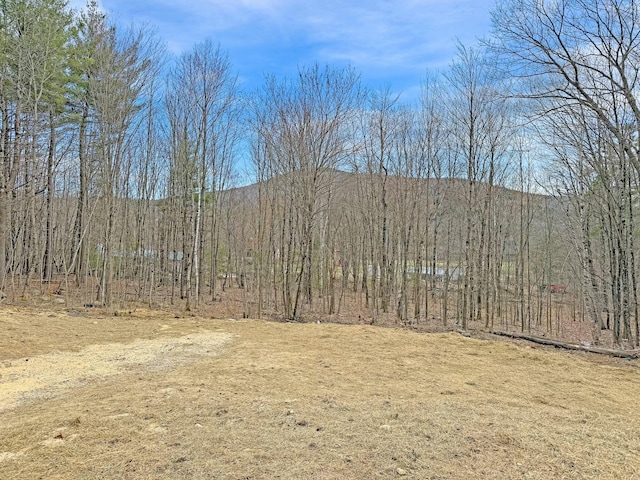 21 Coolidge Rd, Dixfield, ME 04224 - view of nature featuring a wooded view