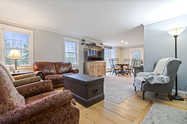 living room with crown molding and light wood-type flooring